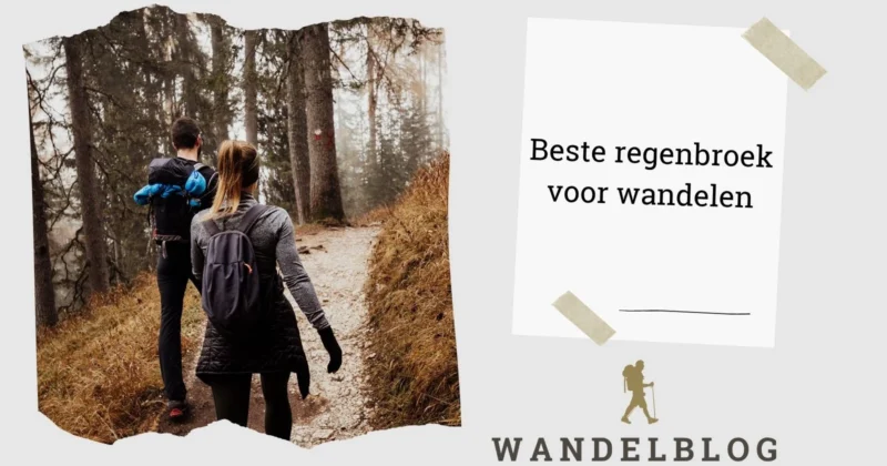 Twee wandelaars op een bospad in mistig en nat weer