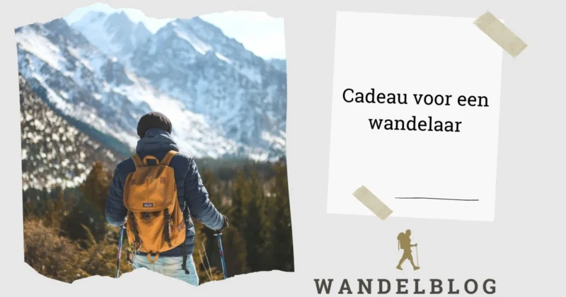 Wandelaar met oranje rugzak kijkt uit over besneeuwde bergen